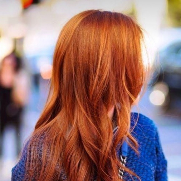 Meet your Posher, Cassidy - Picture 1 of 1